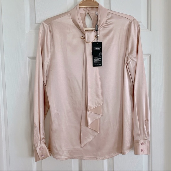 🌺 Lilysilk Pale Pink Silk Feminine Stand Collar Blouse Top w/ Pearl Clip Brooch - Picture 7 of 14